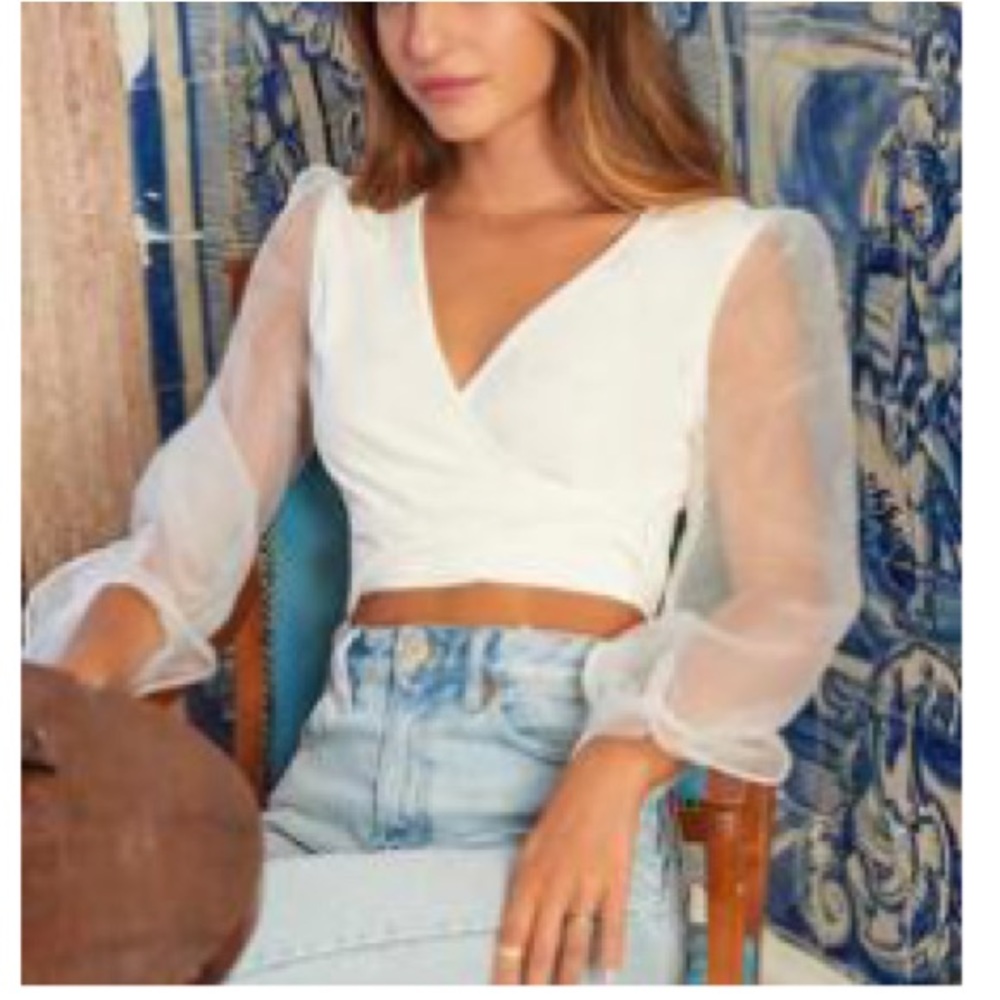 Shein Mesh Long Sleeve Blouse